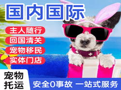 通辽航空快运国际宠物托运 【国